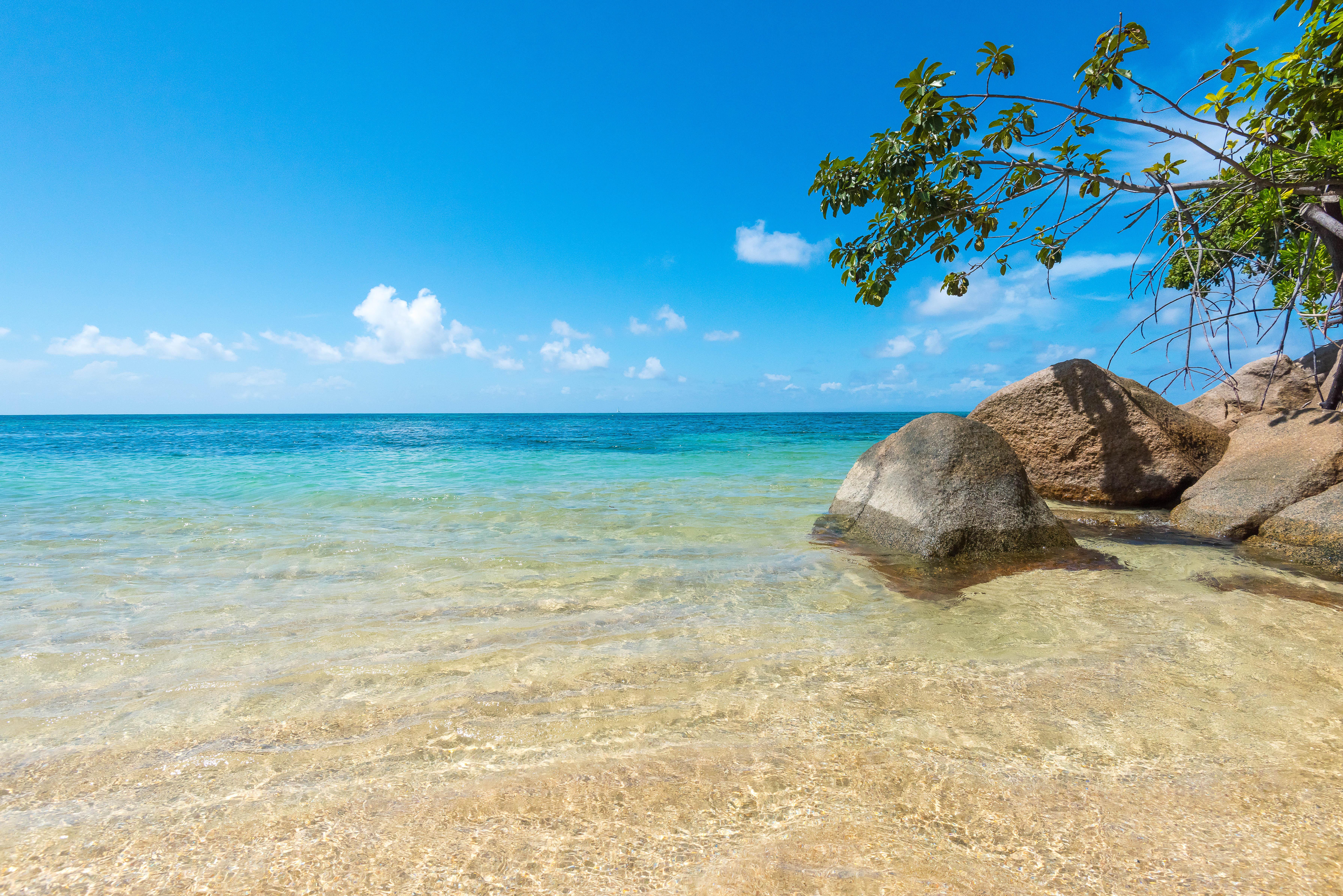 Coco de Mer Hotel&Black Parrot Suites Grand Anse  Exterior foto