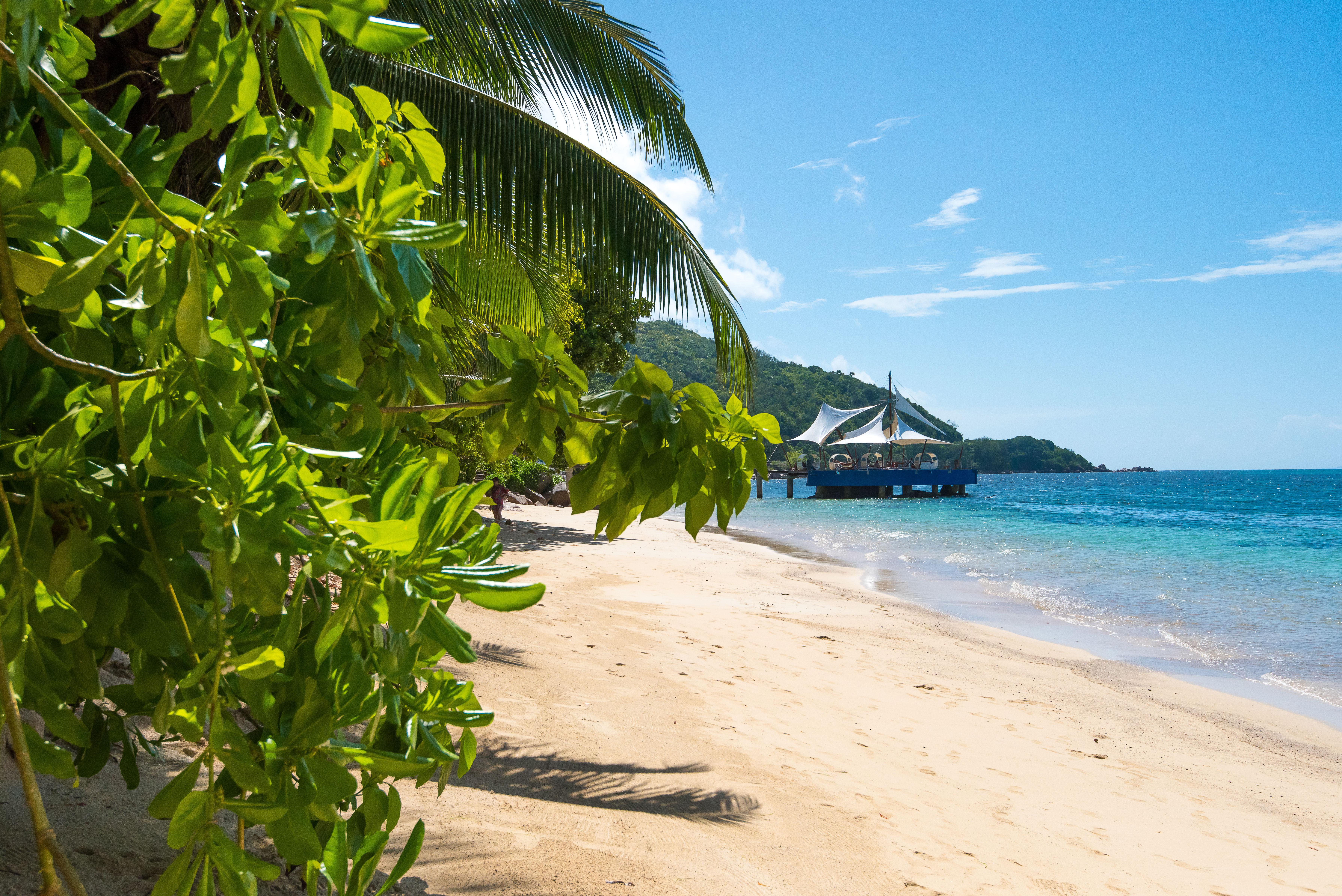 Coco de Mer Hotel&Black Parrot Suites Grand Anse  Exterior foto